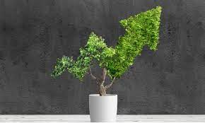 Green Recovery', recuperação económica é verde - Iberdrola